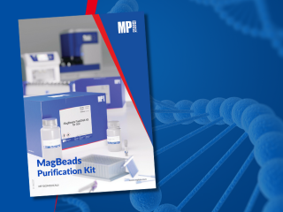 MagBeads Purification Kits